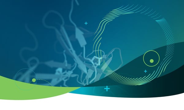 Lorem Ipsum Today: Applications and Adaptations