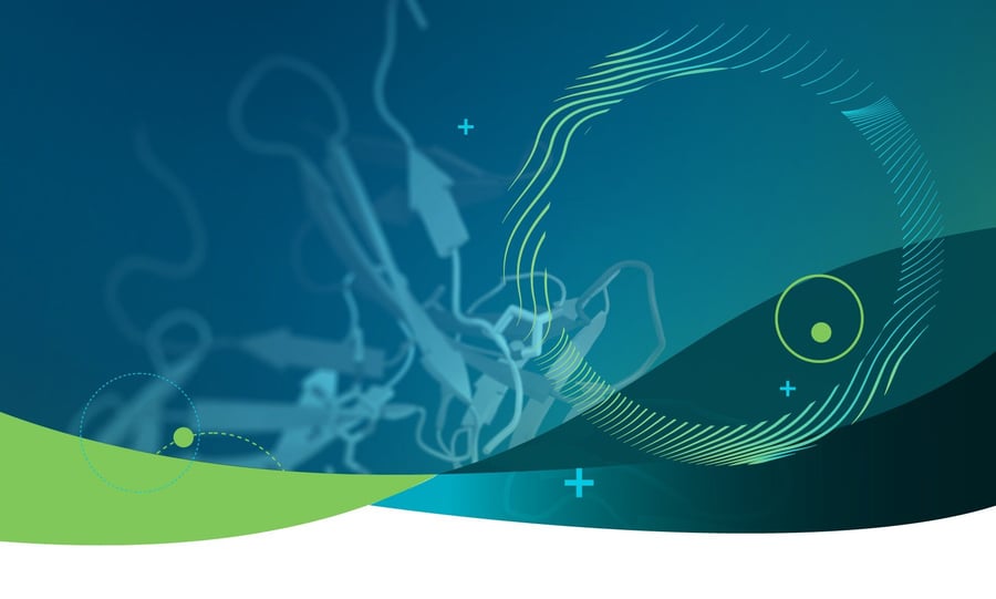 Lorem Ipsum Today: Applications and Adaptations